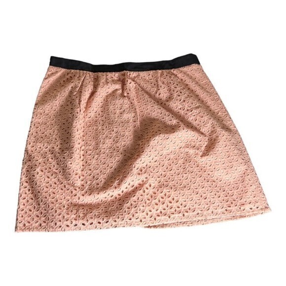 Ann Taylor Loft‎ Women’s Pink Eyelet Lace Skirt Size 12P - Picture 2 of 3